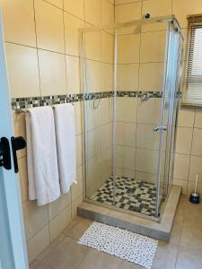 勒斯滕堡Druza’s guest house的浴室设有玻璃门和毛巾淋浴