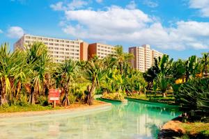 奥林匹亚Hot Beach Resort的棕榈树和建筑的水池