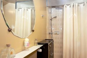 博韦La maison de Michel的带淋浴和镜子的浴室