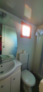 埃尔科拉诺AGRICAMPING STONE VESUVIO的一间带卫生间、水槽和镜子的浴室