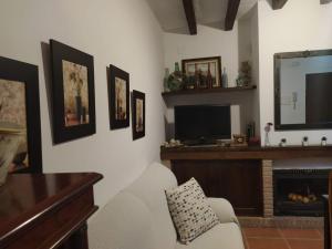 卢克Casa Rural Alamillo的客厅设有壁炉和电视。