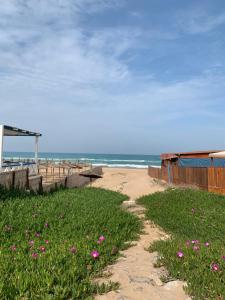萨伊迪耶maison du bonheur en bord de mer avec piscine的一片沙质的沙滩,在草地上种着粉红色的花朵