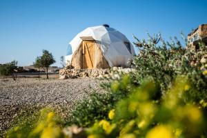 米茨佩·拉蒙Desert Shade camp חוות צל מדבר的花田里的圆顶帐篷