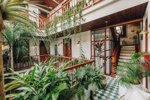 巴拿马城Amarla Boutique Hotel Casco Viejo的一座种植了植物的庭院和一座建筑中的楼梯
