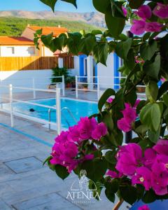 赫尔特Apartamentos Atenea Jerte的游泳池旁种有粉红色花的植物