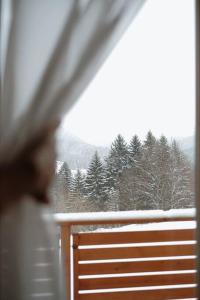 多纳瓦利Bon Repos Apartmán的看到白雪覆盖的森林的窗户的人
