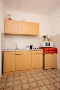 特斯特诺Apartments with WiFi Trsteno, Dubrovnik - 8738的厨房配有水槽和微波炉
