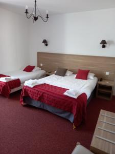 Pont-de-RoideHOTEL DES VOYAGEURS的一间卧室配有两张带红色枕头的床