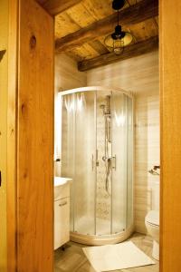 PolzelaLavender Hill, Eko Resort & Wellness的带淋浴和卫生间的浴室