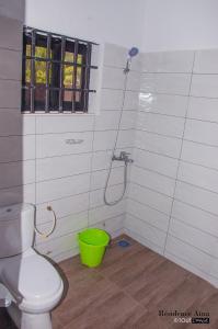 Abomey-CalaviRESIDENCE AINA的一间带卫生间和绿色桶的浴室
