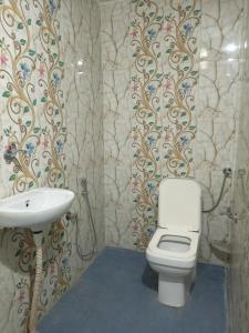 克久拉霍Khajuraho Dreams Homestay的一间带卫生间和水槽的浴室