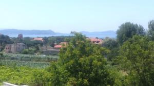 桑亨霍Chalet con vista a las Islas Cíes的从树木茂密的山丘上欣赏到城镇美景
