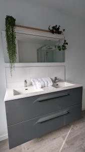 莫尔莱Les Appartements de Viarmes et de Guernisac的一间带水槽和镜子的浴室