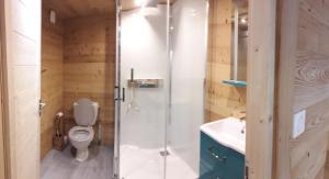 若西耶Chalet cocody jacuzz的带淋浴、卫生间和盥洗盆的浴室