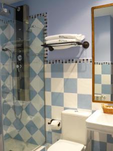 诺瓦莱斯Posada La Villanita的带淋浴、卫生间和盥洗盆的浴室
