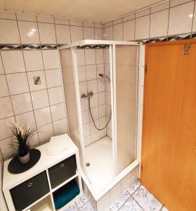 梅泽堡Gästewohnung Merci的带淋浴的小浴室
