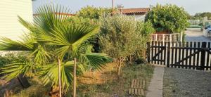 西让Chalet en bois "Le Libellule"的围栏旁种有棕榈树和灌木的花园