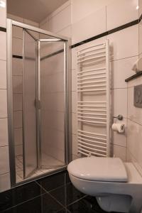 弗伦斯堡Hotel Fruerlund的一间带卫生间和玻璃淋浴间的浴室