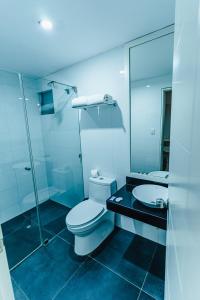 利马Hotel Hacienda Lima Norte的浴室配有卫生间、淋浴和盥洗盆。
