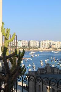 圣朱利安斯Rotas B的享有海港和水中船只的景色