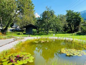 基茨比厄尔雷霍夫旅馆的堆满百合花的池塘