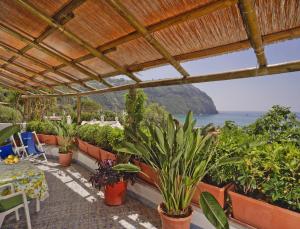 伊斯基亚Appartamenti Casa del Sole的一个带盆栽的庭院,享有海景