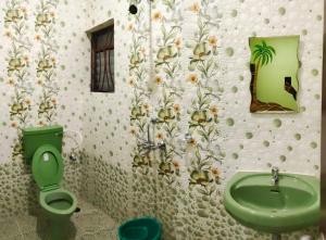 坎多林The Narrow Way Edward Guest House的浴室配有绿色卫生间和水槽。