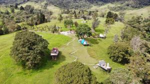 拉维加Glamping Reserva del Roble的享有带帐篷和树木的田野的空中景致