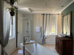 杜河畔凡尔登L'ESCALE Chambres et table d'hôtes的带浴缸、淋浴和盥洗盆的浴室