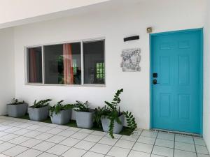 孔塔多拉Villa Montana的蓝色的门和一排盆盆栽植物