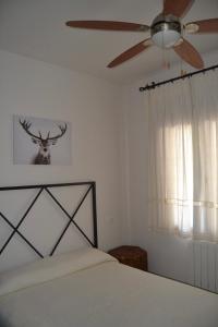 安度亚尔Alojamiento Rural Dehesa La Estancia的一间卧室配有一张床和吊扇