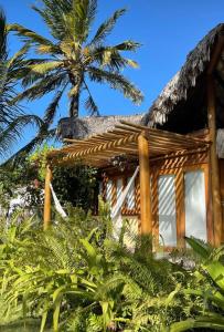 普拉亚德莫伊塔斯Casa das Rendas的热带房屋,后方有棕榈树