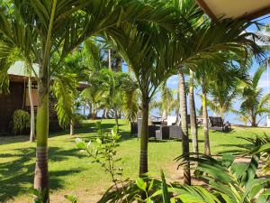 锡基霍尔Charisma Beach Resort的一群棕榈树在房子前面