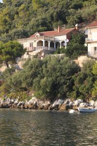 UbliApartments by the sea Ubli, Lastovo - 8344的水边小山上的大房子