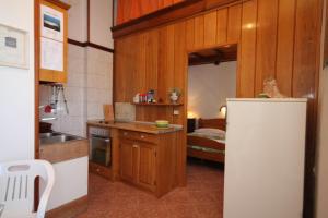 拉斯托伏Apartments by the sea Zaklopatica, Lastovo - 8346的厨房配有木制橱柜和白色冰箱。
