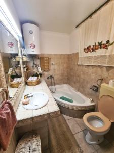 萨利Apartments and rooms by the sea Zaglav, Dugi otok - 8170的带浴缸、卫生间和盥洗盆的浴室