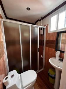 爱妮岛Balay Paragua的带淋浴、卫生间和盥洗盆的浴室