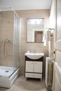 拉姆尼库沃尔恰全景酒店的一间带水槽和淋浴的浴室