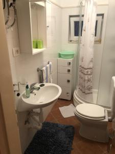 普契什查Apartments with WiFi Pucisca, Brac - 11416的一间带水槽、卫生间和淋浴的浴室