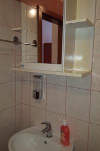 格拉达茨Apartments with a parking space Gradac, Makarska - 11332的浴室水槽、镜子和肥皂机