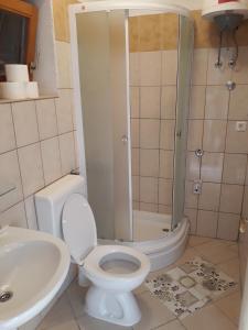 马拉诺维奇Apartments by the sea Cove Blaca, Mljet - 10416的浴室配有卫生间、淋浴和盥洗盆。
