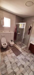 耶尔萨Vila Casa di mare Jelsa, otok Hvar的带淋浴、卫生间和盥洗盆的浴室