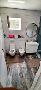 耶尔萨Vila Casa di mare Jelsa, otok Hvar的一间带卫生间、水槽和镜子的浴室
