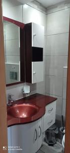 凯法洛斯萨瓦斯公寓式酒店的一间带红色水槽和镜子的浴室