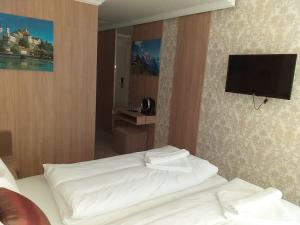 SeewenHelvetia的酒店客房设有两张床和一台平面电视。