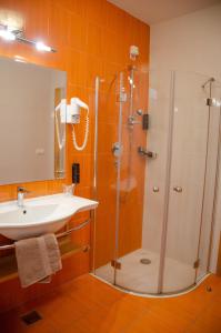 霍茨科波霍尔耶Luxury apartments Prežin的带淋浴和盥洗盆的浴室