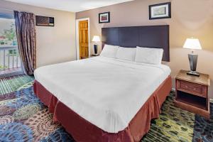 大巴灵顿大巴林顿旅程住宿酒店的一间设有大床和窗户的酒店客房
