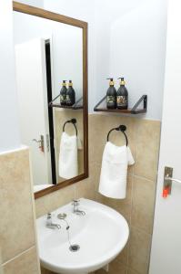 开普敦Luxury 2 bedroom apartment in Cape Town的一间带水槽和镜子的浴室