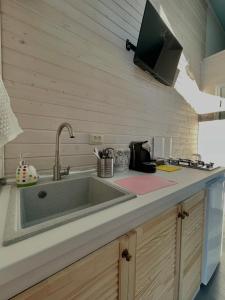 安布罗劳里View Racha的一个带水槽的厨房和墙上的电视