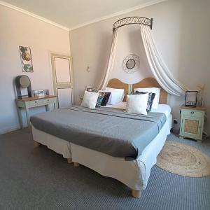 卡尔卡松Entre Bastide et Cité的一间卧室配有一张带天蓬的大床